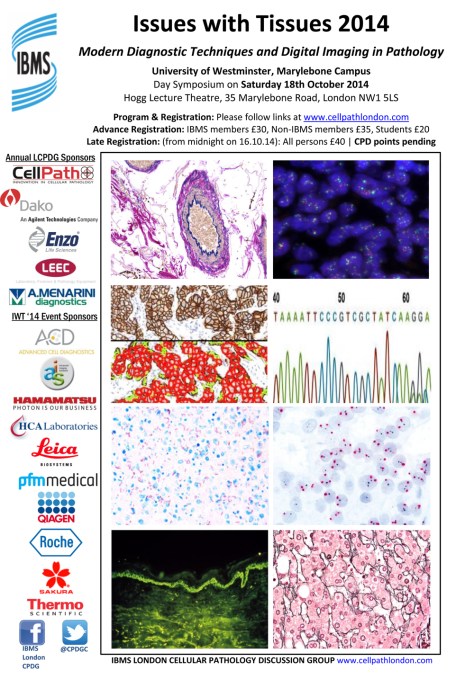 IWT 2014 Advert FINAL_sml